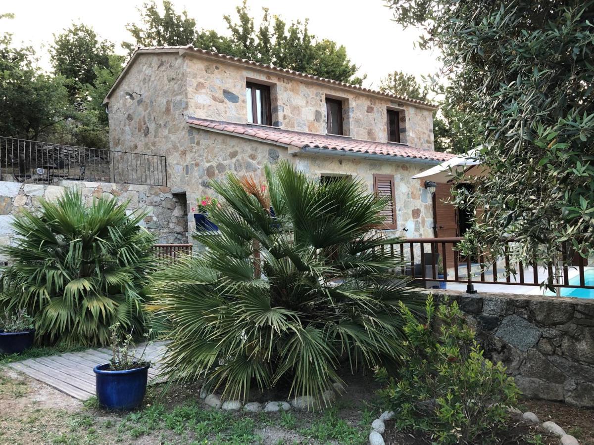 Chambres Dhotes Corse Venaco  Exterior foto