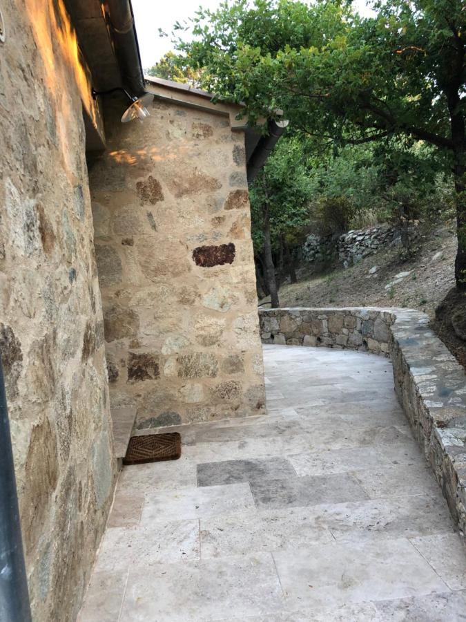 Chambres Dhotes Corse Venaco  Exterior foto